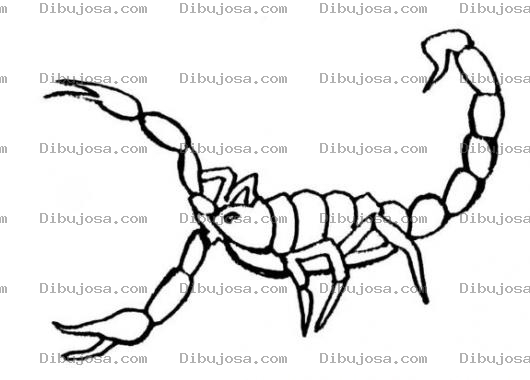 Dibujo para colorear Dibujo De Alacran Para Pintar Y Colorear Un Escorpion Venenoso