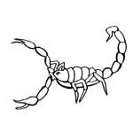 Dibujo para colorear Dibujo De Alacran Para Pintar Y Colorear Un Escorpion Venenoso
