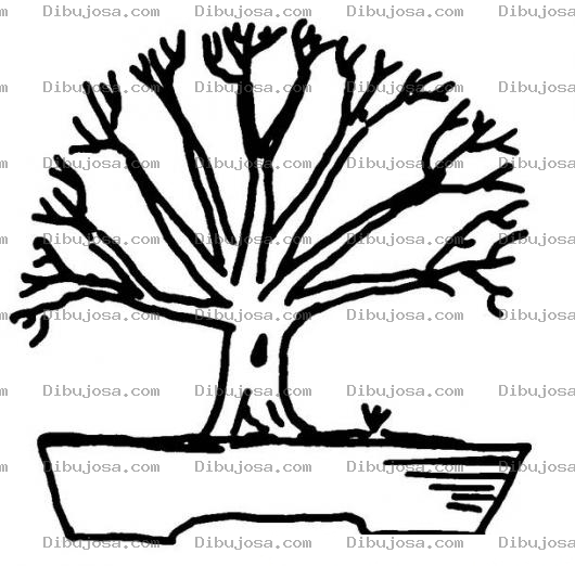 Dibujo para colorear Dibujo Del Otono En Un Bonsai Para Pintar Y Colorear