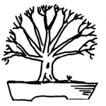 Dibujo para colorear Dibujo Del Otono En Un Bonsai Para Pintar Y Colorear
