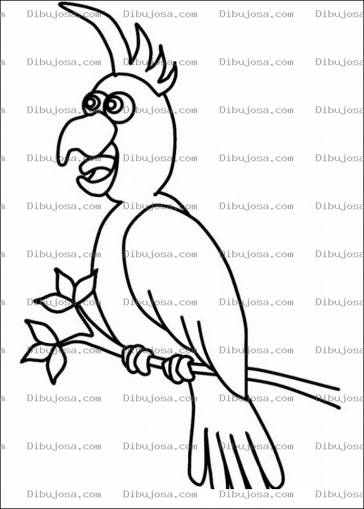 Dibujo para colorear Perico para pintar