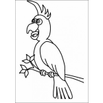 Dibujo para colorear Perico para pintar