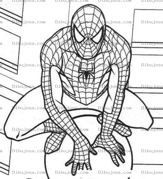 Dibujo para colorear Spiderman Dibujo De Hombre Arana Sobre Un Farol Para Pintar Y Colorear