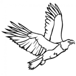 Dibujo para colorear Dibujo De Aguila Volando Para Pintar Y Colorear