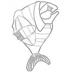 Dibujo para colorear Pescado Con Balon De Futbol Americano Para Pintar Y Colorear Pez Jugador De La Nfl