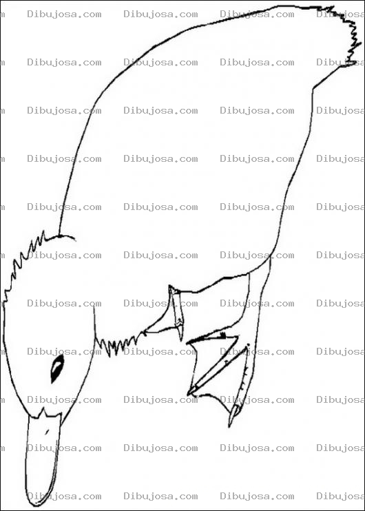 Dibujo para colorear Pato tomando agua