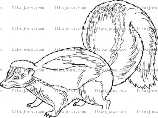 Dibujo para colorear Dibujo De Zorrillo Para Pintar Y Colorear