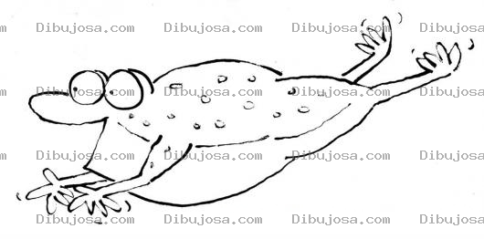 Dibujo para colorear Dibujo De Sapo Volador Para Pintar Y Colorear Rana Voladora