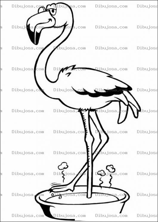 Dibujo para colorear Flamingo para colorear