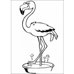 Dibujo para colorear Flamingo para colorear