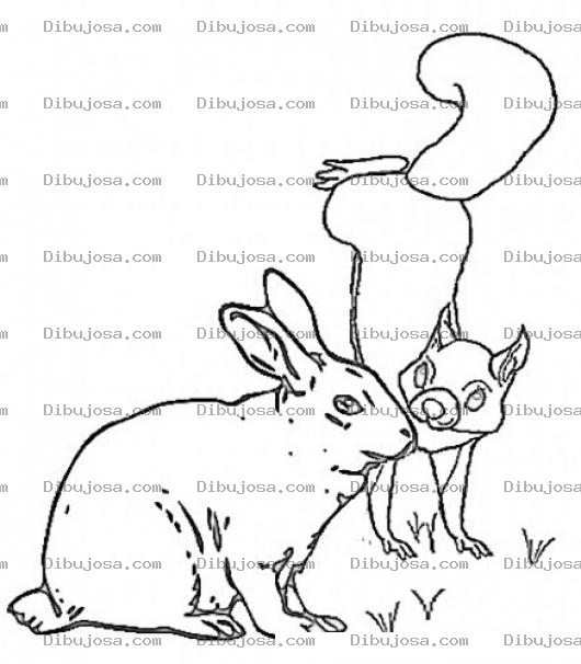 Dibujo para colorear Dibujo De Conejo Y Ardilla Para Pintar Y Colorear Ardillita Y Conejito