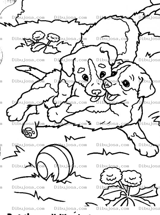 Dibujo para colorear Cachorritos Jugando Para Pintar Y Colorear Dibujo De Perritos Jugueteando