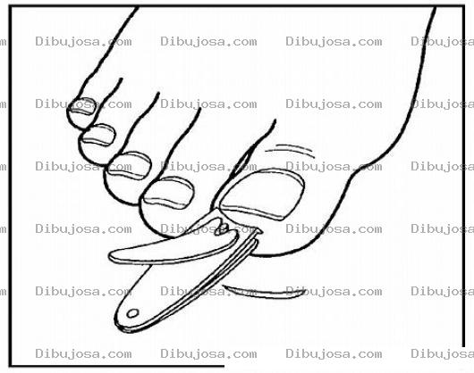 Dibujo para colorear Corta Unas Dibujo De Cortaunas De Pies Para Pintar Y Colorear
