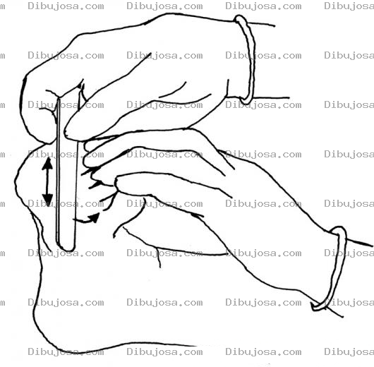 Dibujo para colorear Dibujo De Una Lima Para Cayos De Pies Para Pintar Y Colorear