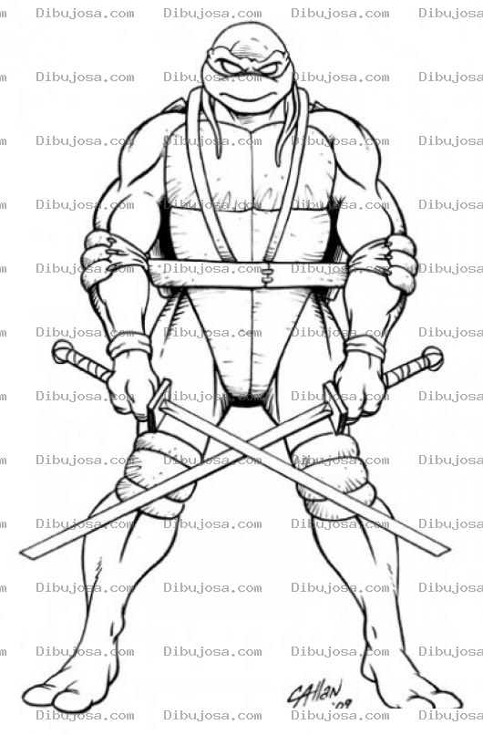 Dibujo para colorear Dibujo De Tortuga Ninja Para Pintar Y Colorear Tortuganinja