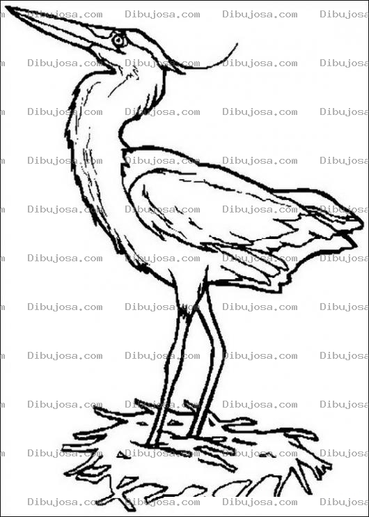 Dibujo para colorear Garza para colorear