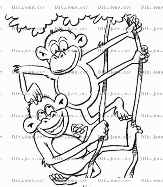 Dibujo para colorear Dibujo De Dos Monos Para Pintar Y Colorear A 2 Monos