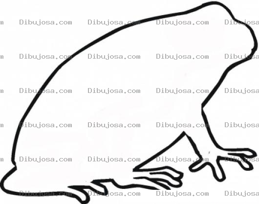 Dibujo para colorear Perfil De Sapo Para Pintar Y Colorear El Contorno De Un Sapote