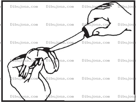 Dibujo para colorear Limpieza De Camaron Dibujo De Un Camaron Sin Popo Para Pintar Y Colorear
