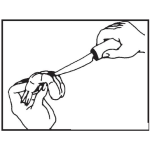 Dibujo para colorear Limpieza De Camaron Dibujo De Un Camaron Sin Popo Para Pintar Y Colorear