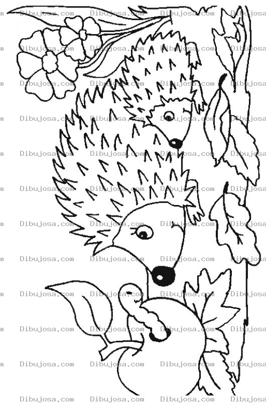 Dibujo para colorear Dibujo De Puercoespines Con Un Gusano En Una Manzana Para Pintar Y Colorear Cuercoespines