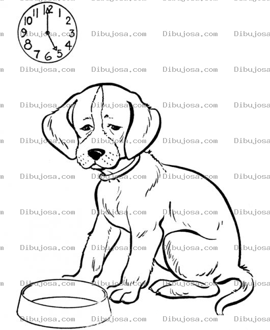 Dibujo para colorear Perro Con Hambre Dibujo De Perrito Hambriento Sin Comida Para Pintar Y Colorear Hambruna Canina