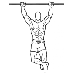 Dibujo para colorear Sitemamuscular Dibujo De Hombre Atletico Y Musculoso Para Colorear