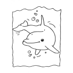 Dibujo para colorear Colorear Delfin