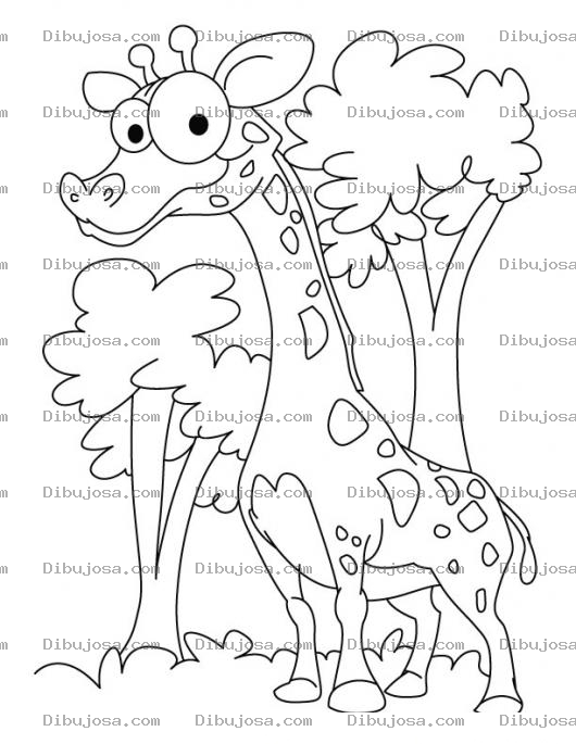 Dibujo para colorear Colorear Jirafa De Ojos Grandes