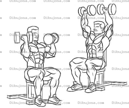 Dibujo para colorear Dibujo Del Ejercicio De Press Militar Para Ejercitar Los Hombros