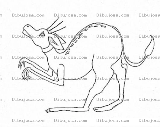 Dibujo para colorear Canguro Amaestrado Para Pintar Y Colorear Cangurito Sumiso