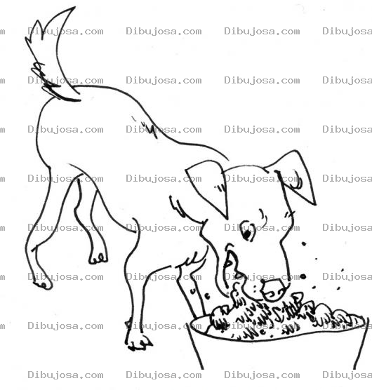 Dibujo para colorear Comida Para Perros Dibujo De Perro Comiendo Concentrado Para Pintar Y Colorear