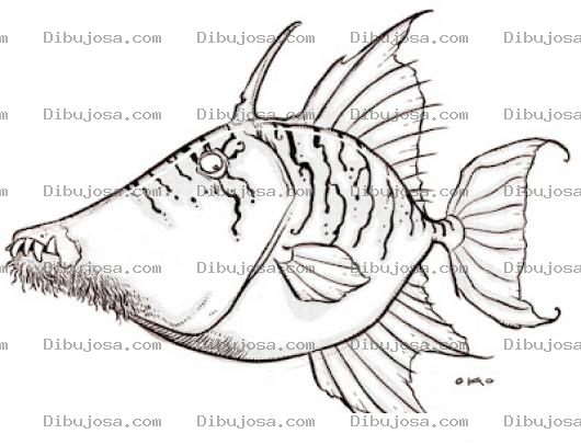 Dibujo para colorear Dibujo De Pez Barbado Para Pintar Y Colorear Pescado Con Barba