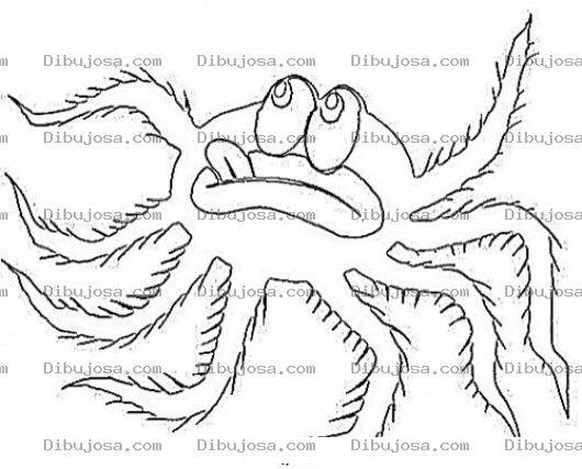 Dibujo para colorear Aranapeluda Dibujo De Arana Peluda Para Pintar Y Colorear Arana Con Pelos En Las Patas