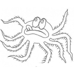 Dibujo para colorear Aranapeluda Dibujo De Arana Peluda Para Pintar Y Colorear Arana Con Pelos En Las Patas