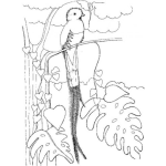 Dibujo para colorear Colorear al Quetzale el ave nacional de Guatemala