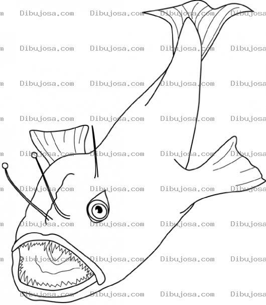 Dibujo para colorear Dibujo De Bagre Gigante Para Colorear