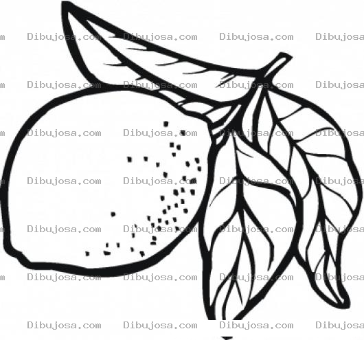 Dibujo para colorear Limon Con Tallo Y Hojas Para Colorear