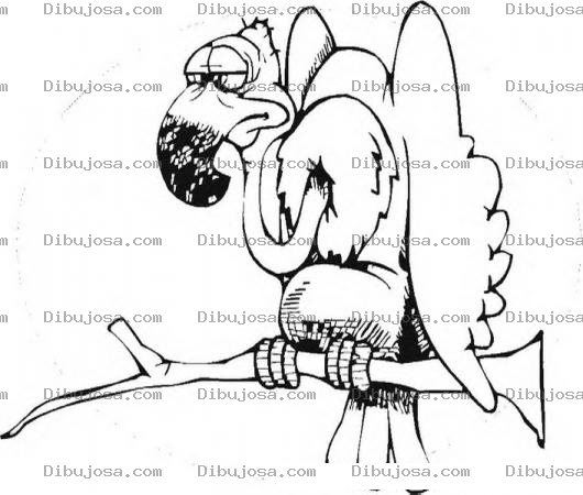 Dibujo para colorear Colorear Buitre En Rama De Arbol