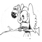 Dibujo para colorear Colorear Buitre En Rama De Arbol