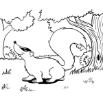 Dibujo para colorear Dibujo De Zorrillo En El Bosque Para Pintar Y Colorear