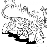 Dibujo para colorear Dibujo De Tigre Enojado Para Colorear