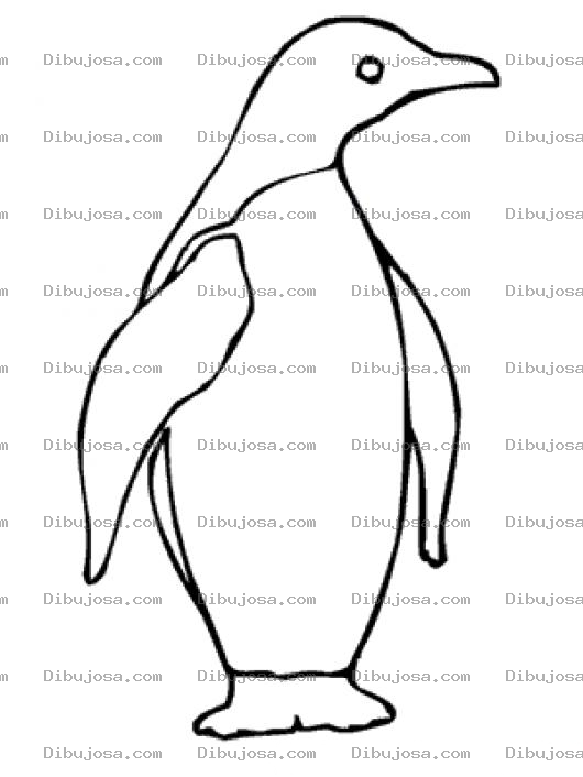 Dibujo para colorear Colorear Pinguino