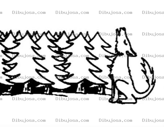 Dibujo para colorear Lobo Aullador Dibujo De Lobo En El Bosque Para Pintar Y Colorear Lobito Aullando