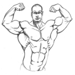 Dibujo para colorear Torso Musculoso Para Pintar Y Colorear A Un Hombre Con Muchos Musculos