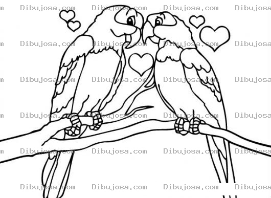 Dibujo para colorear Loros Enamorados Dibujo De Un Lorito De Verapaz Un Buen Dia Se Enamoro De Una Linda Cotorrita Para Pinar Y Colorear Hay Lorita De Mi Alma Quiereme Un Poquitito Que Me Muero De Amor Delgadito Me Pongo Si Tu Amor No Me Das Si Te Vas Con Otro Ya Veras Ya Veras