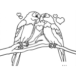 Dibujo para colorear Loros Enamorados Dibujo De Un Lorito De Verapaz Un Buen Dia Se Enamoro De Una Linda Cotorrita Para Pinar Y Colorear Hay Lorita De Mi Alma Quiereme Un Poquitito Que Me Muero De Amor Delgadito Me Pongo Si Tu Amor No Me Das Si Te Vas Con Otro Ya Veras Ya Veras