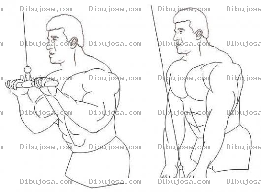 Dibujo para colorear Tricep Con Polea Para Pintar Y Colorear Dibujo De Un Hombre Ejercitando El Triceps