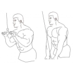 Dibujo para colorear Tricep Con Polea Para Pintar Y Colorear Dibujo De Un Hombre Ejercitando El Triceps