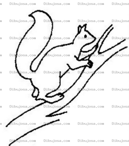 Dibujo para colorear Dibujo De Ardilla En Una Rama Para Pintar Y Colorear Ardillita En Un Arbol